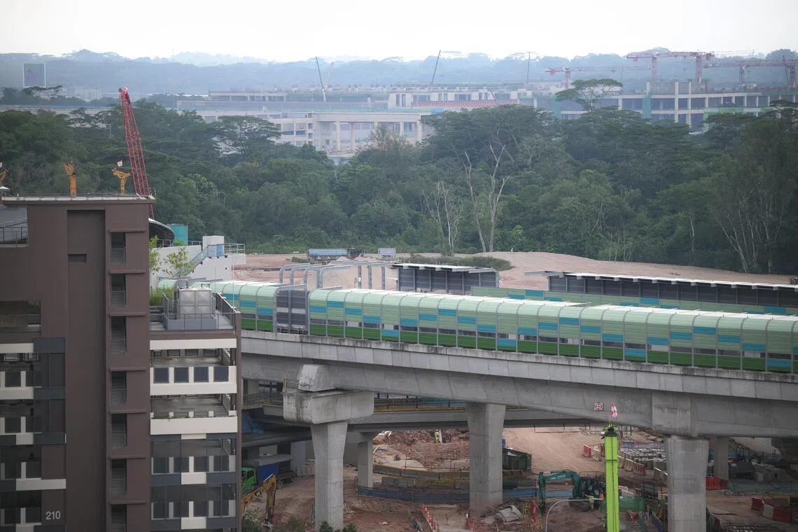 东南亚联合世界学院计划开发登加森林，建设占地4.6公顷的校园，以及0.4公顷的宿舍。（海峡时报）