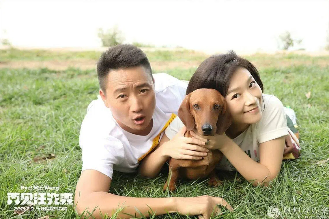 奇幻电影《再见汪先森》讲述“汪星人”与“铲屎官”互相陪伴与守护的感人故事。（互联网）