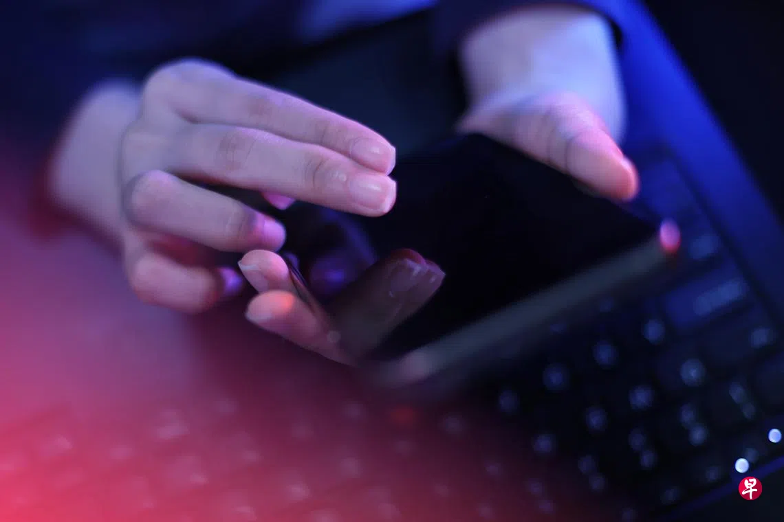 内安局恐怖威胁报告：网络加快自我激进化过程| 联合早报