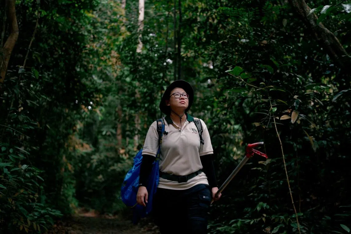 两个包和一把长剪刀，是黄欣仪野外采集的装备。（视频截图）