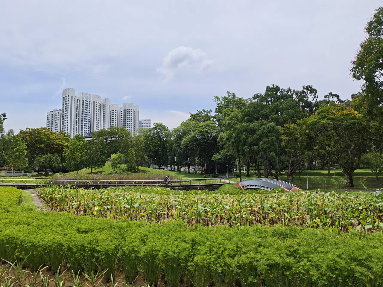 Poco F7 Ultra的摄影实力超出预期，整体视觉效果很讨喜。（黄少伟摄）