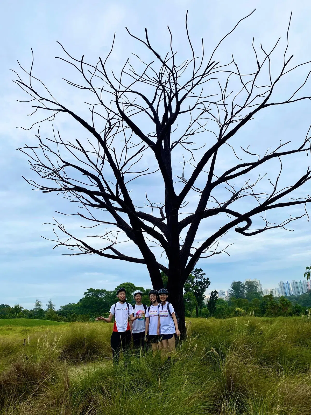 湖畔花园的“孤树”把枝桠伸向辽阔的蓝天，极具静穆美。（唐小迪摄）