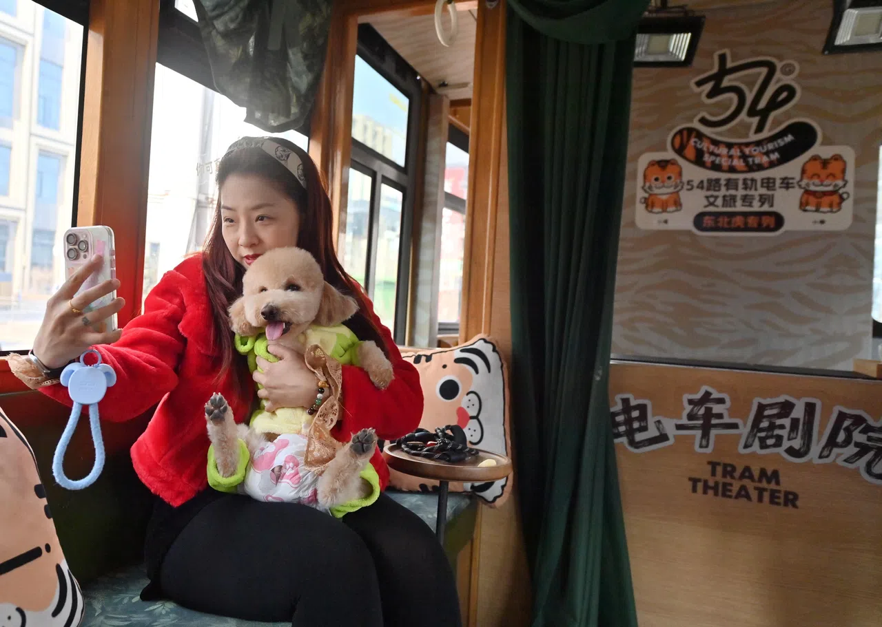 宠物和主人在车厢拍照留念。（中新社）
