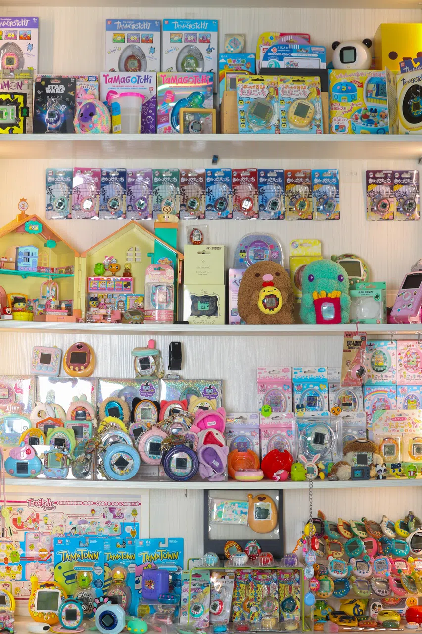 陈设柜里整齐摆放着不同年代的电子宠物。（吴先邦摄）