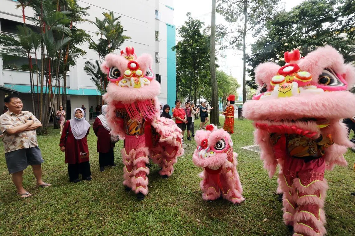 在1月3日人民行动党社区基金会（PCF）Sparkle Care文礼活跃乐龄中心开幕仪式上，林凯腾扮演的小狮子（中）格外惹人喜爱。（邝启聪摄）