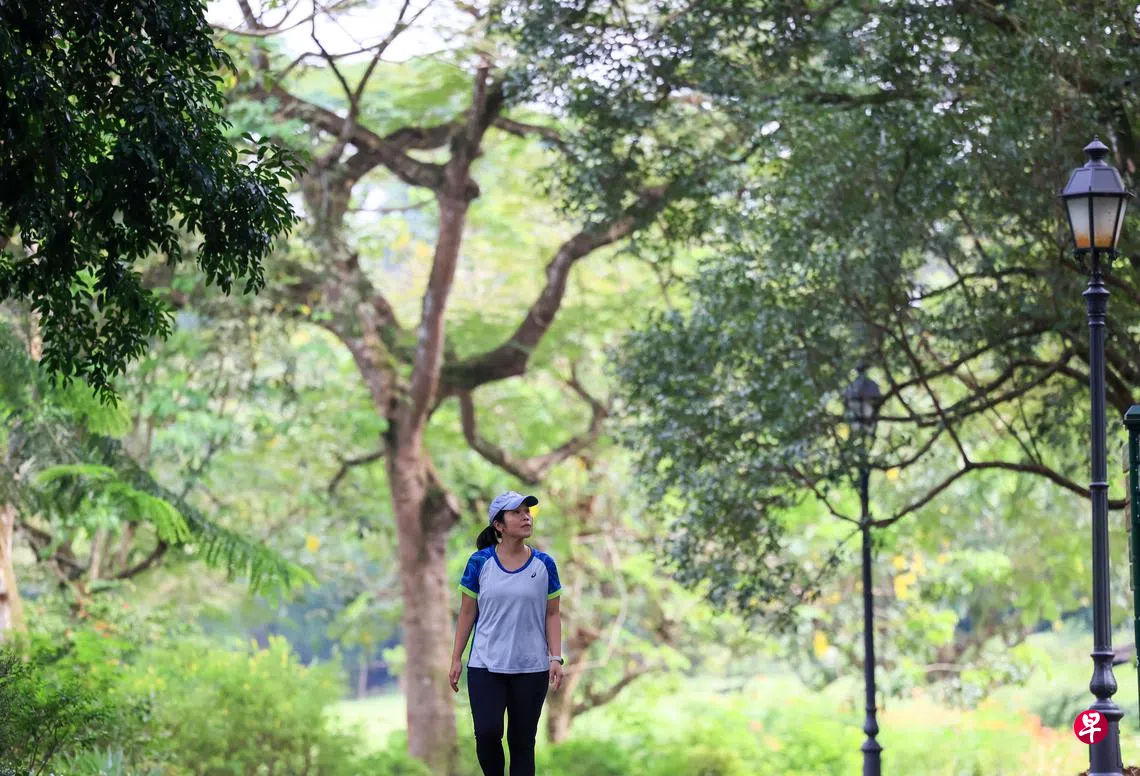 找颜色掷硬币听音乐创意健走步步生辉| 联合早报