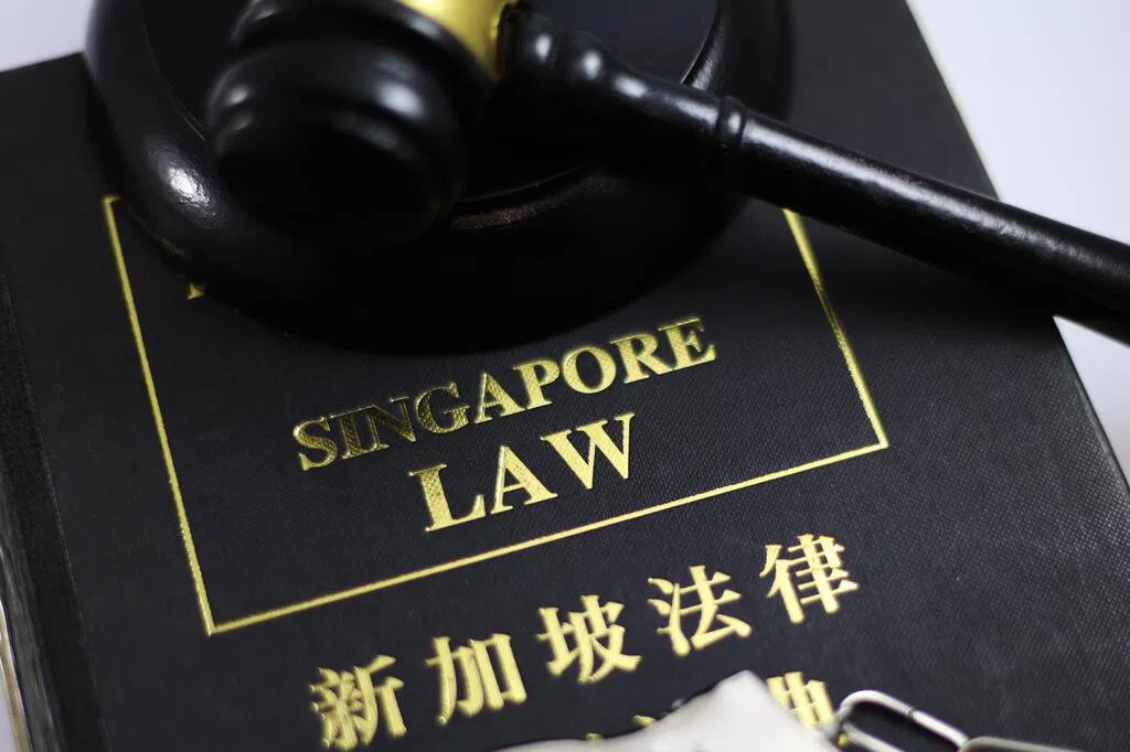 公共部门（治理）修正法案一读 为公私数据共享授权建立框架