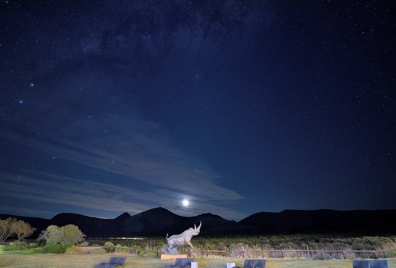 黑夜星空下的非洲草原。（陈鹏志摄）