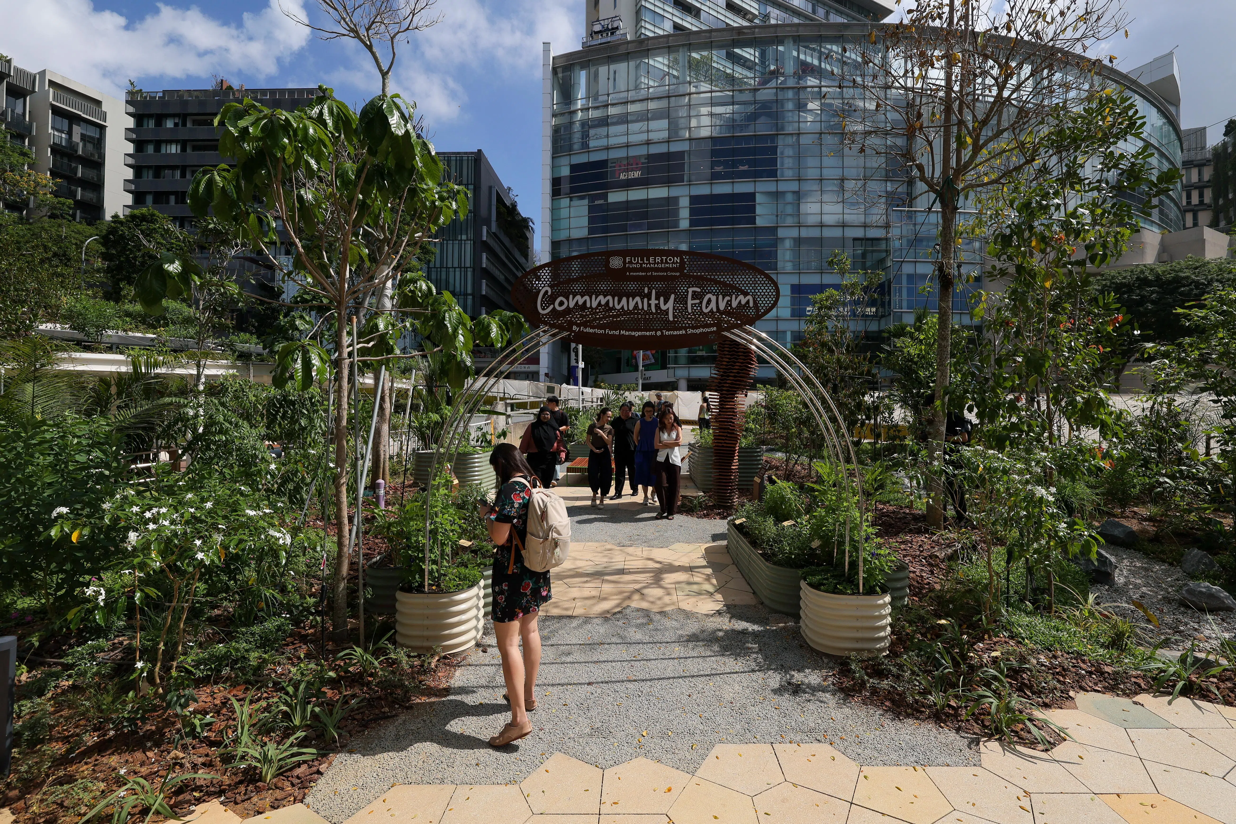 由富敦资金管理公司打理的社区菜园，让公众能认识更多本土蔬果。附近地面也首度试用透水铺砖，能助雨水有效渗透和排放至地底，回收水源再用于花园灌溉，也可避免下雨时出现积水。（张俊杰摄）