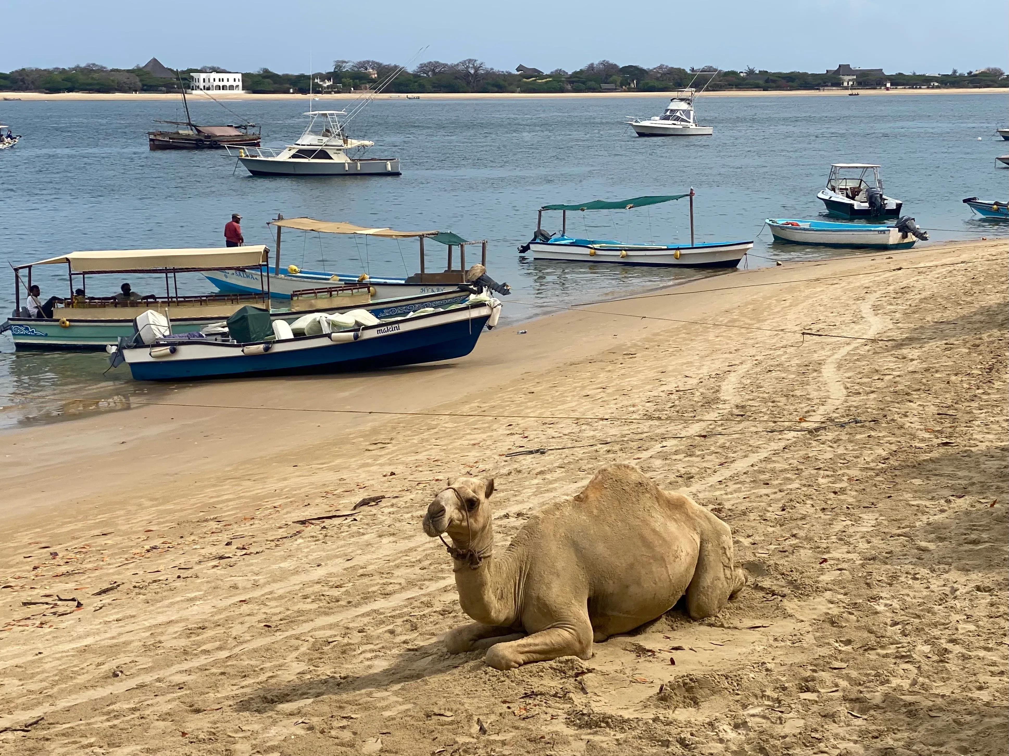 陈威仁走过的肯尼亚港口城市拉穆（Lamu）。（陈威仁摄）