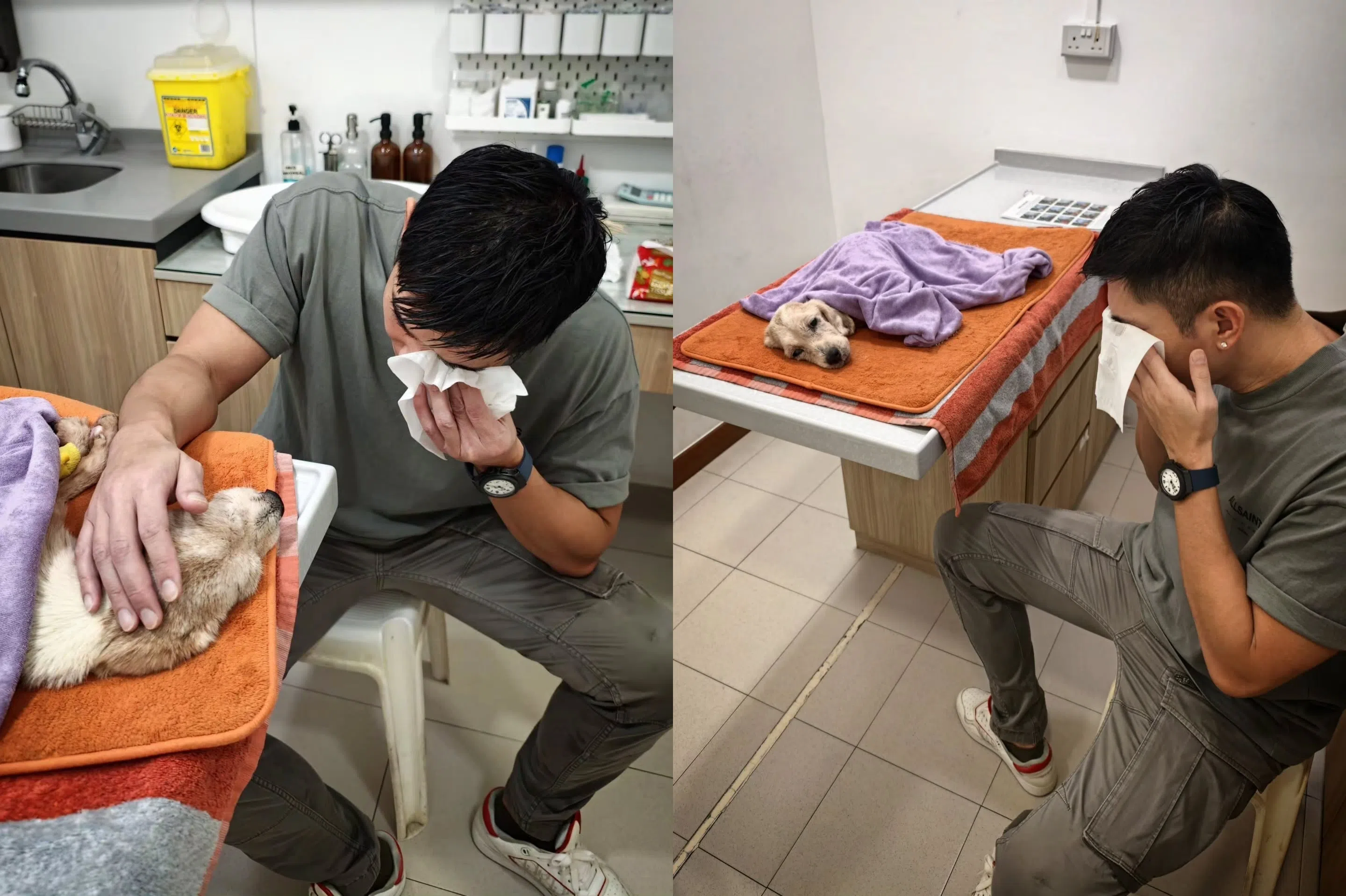 与爱犬道别，黄俊雄止不住泪水。（取自黄俊雄IG）