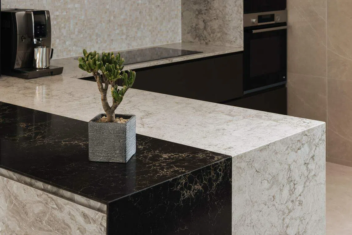厨房的黑白桌面，有如同叶脉纹路的视觉效果。（Metre Architects）