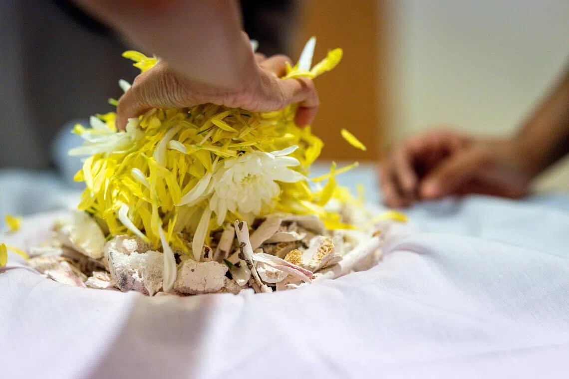 捡好的遗骨，最后放上一把菊花，再用布包裹起来。（叶振忠摄）