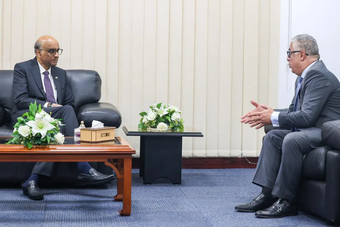 尚达曼总统（左）访问埃及期间，与苏伊士运河经济特区管理局主席瓦利德会晤。（陈斌勤摄）