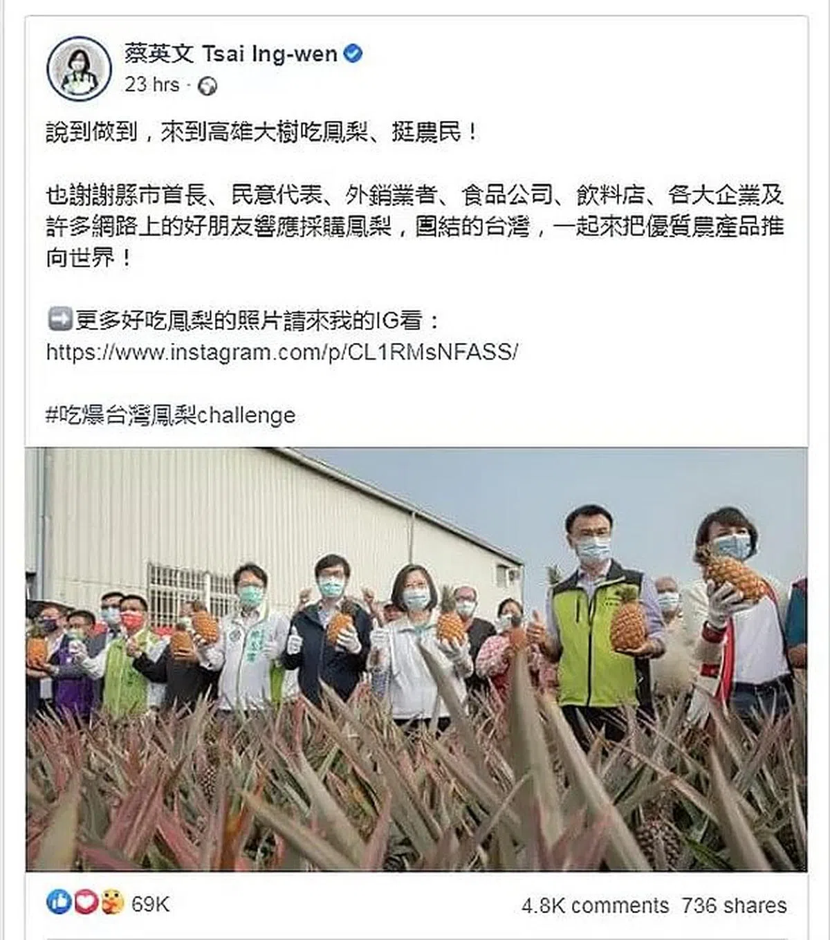 台湾总统蔡英文去年发起“吃凤梨，挺农民”活动，希望通过内销帮凤梨农挺过这一关。（互联网）