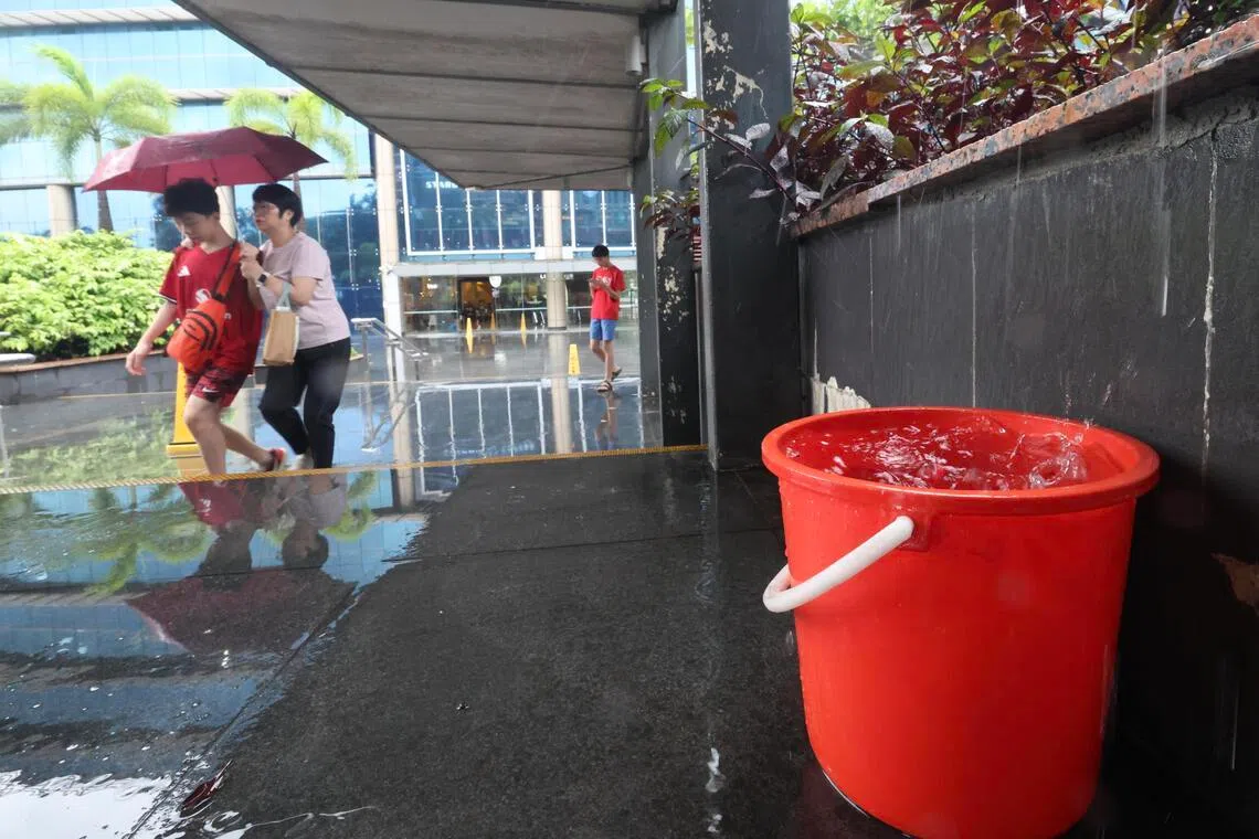 兀兰长堤坊外，雨水汇成一个小水洼，路人小心翼翼撑伞行走。照片摄于星期六（5月16日）中午时分。（郑一鸣摄）