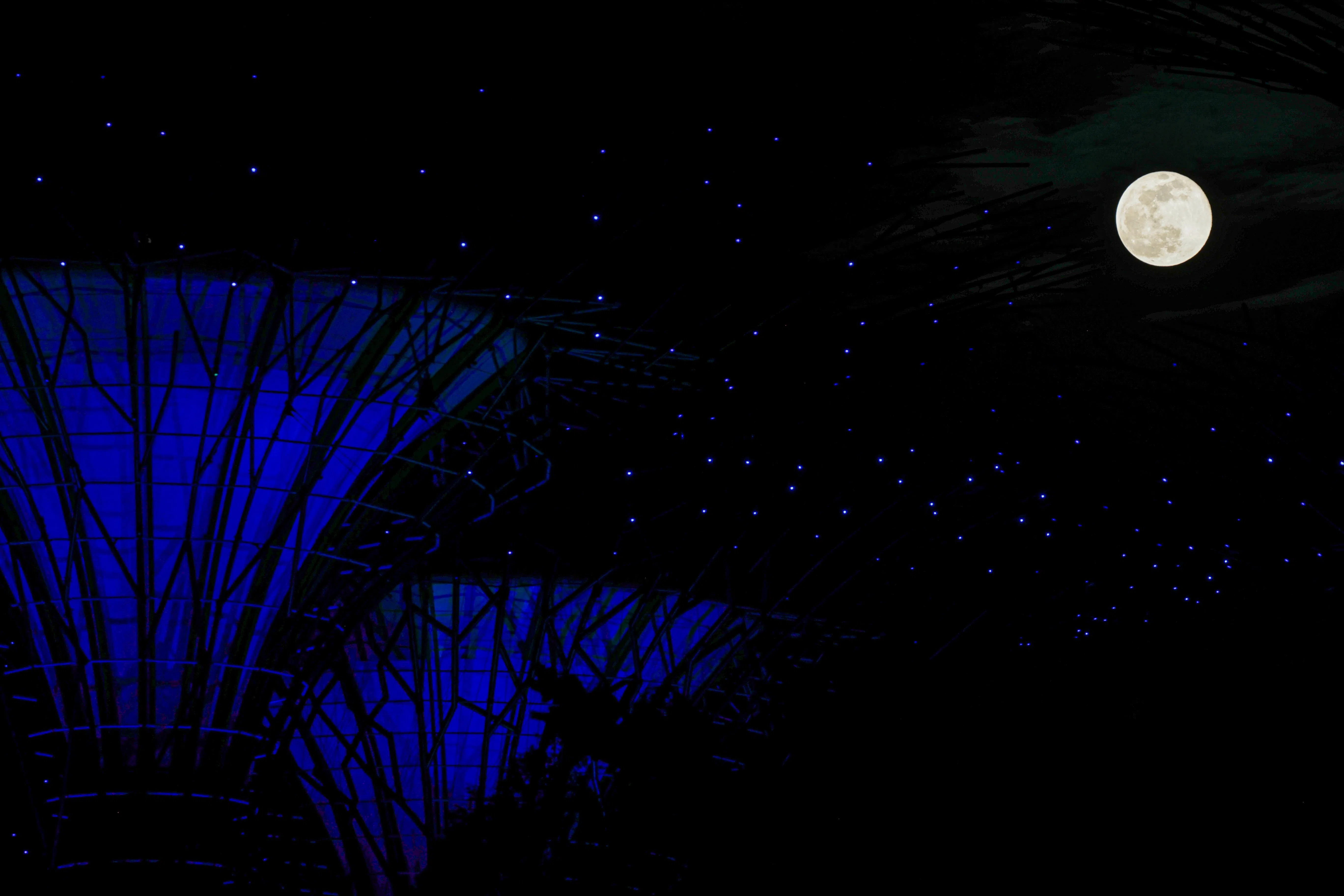 滨海湾花园标志物擎天树旁冉冉升起的白玉盘，月色下的园景笼罩着一股静谧美感。（李冠卫摄）