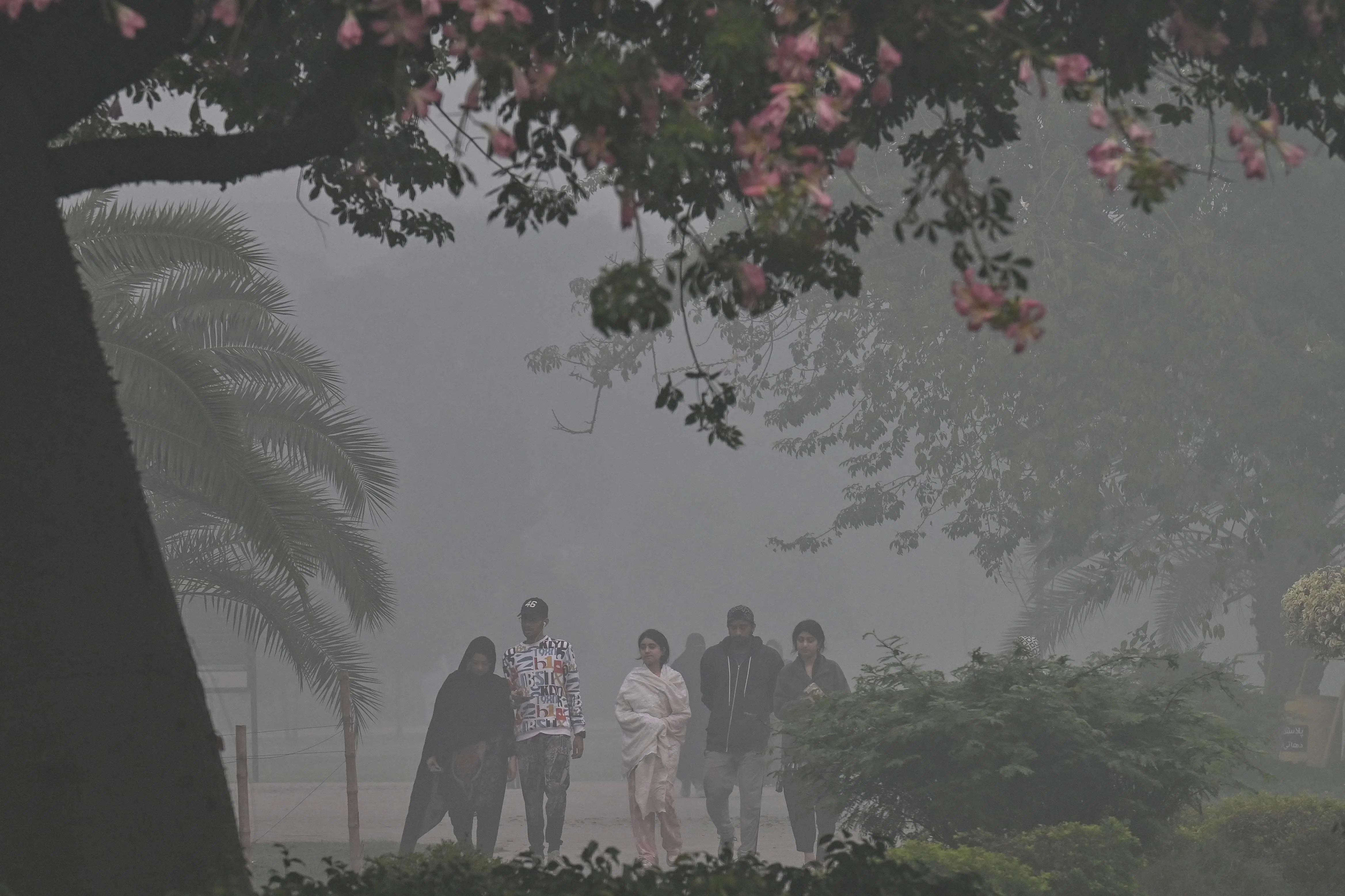 11月7日，人们在拉合尔雾霾严重的公园里散步.（法新社）