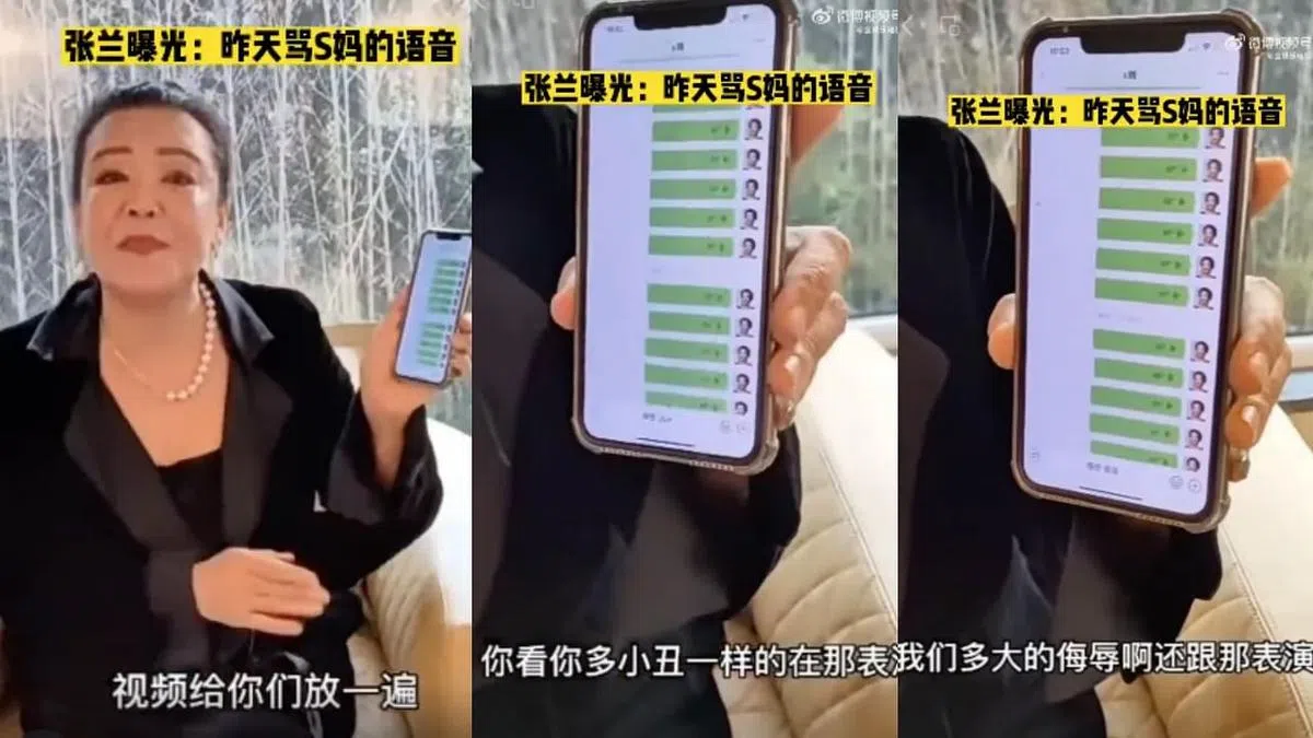 张兰公开她骂大S家人的语音。（互联网）