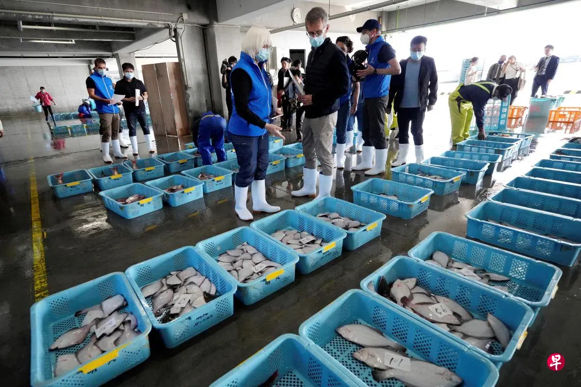 日媒：刚恢复不到半个月中国再次暂停进口日本水产品| 联合早报