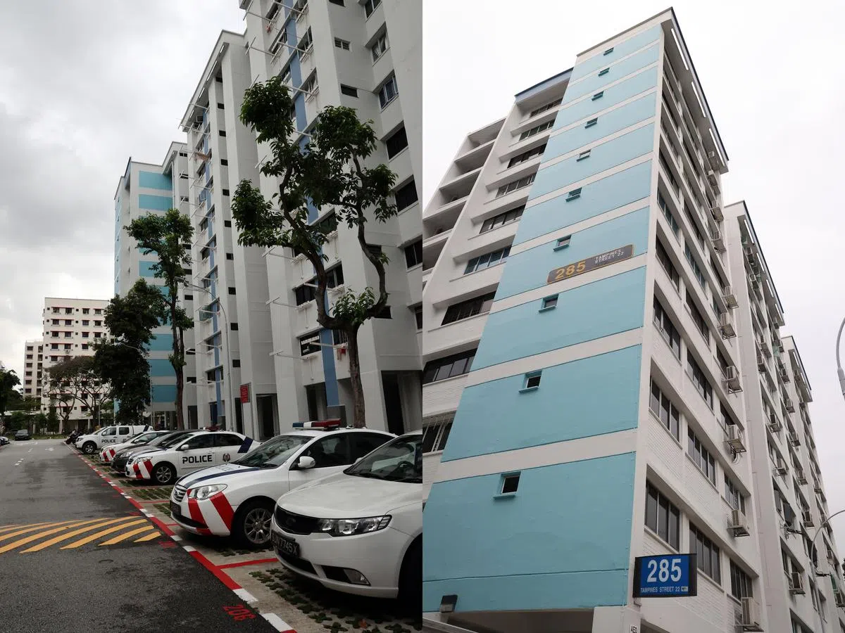 左图：邻居闻臭味报警，数辆警车到场。右图：事发地点是淡滨尼22街第285座组屋11楼单位。