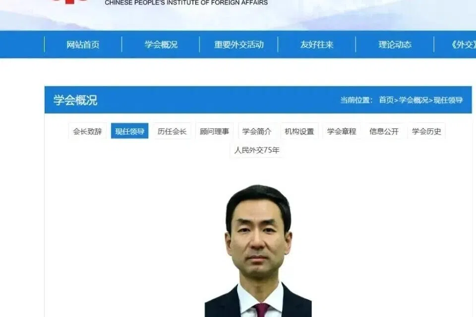 耿爽履新中国人民外交学会副会长