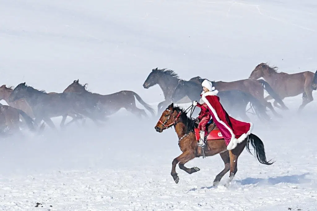 贺娇龙在昭苏县副县长任上时，因一段在雪原策马奔腾的视频火遍中国网络。（互联网）