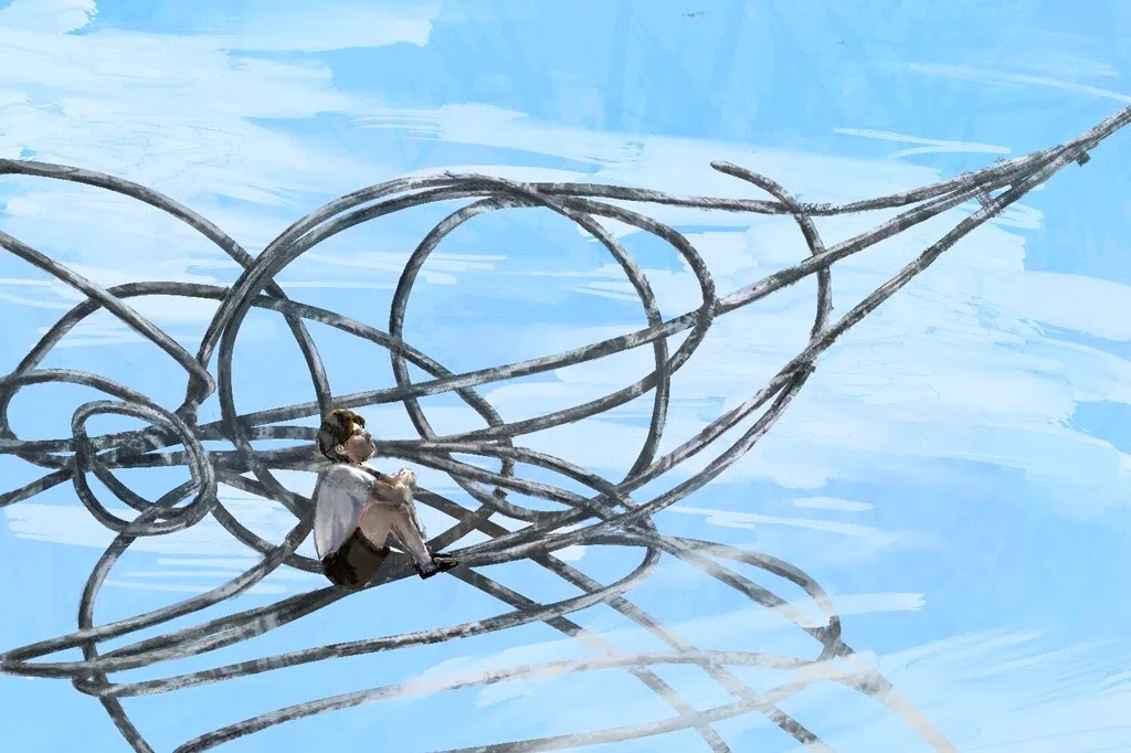 【取火】何陈思蕊：钢丝鸟