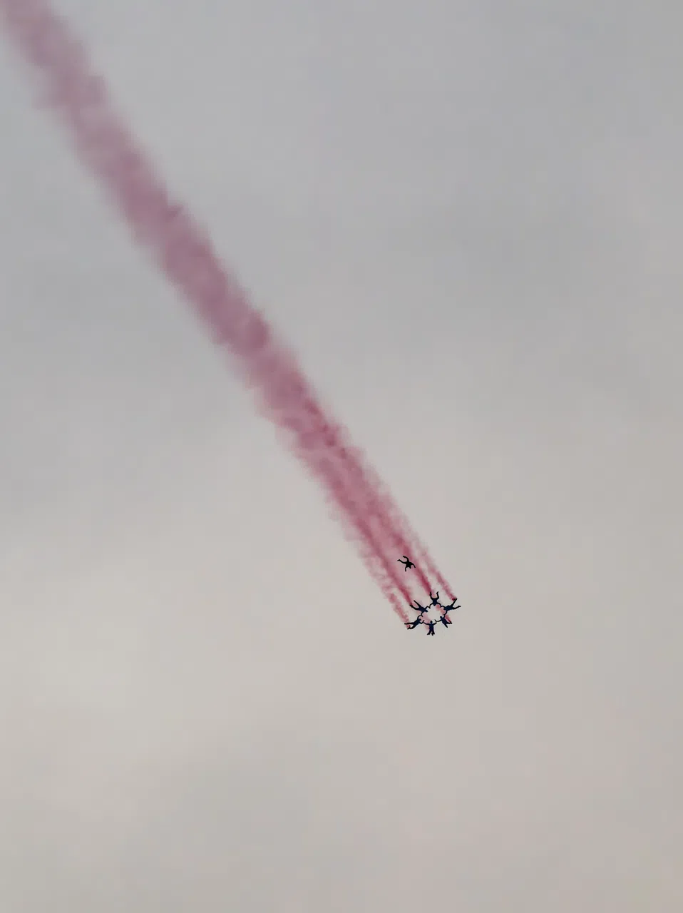 红狮在空中组成高难度的队形。（唐家鸿摄）