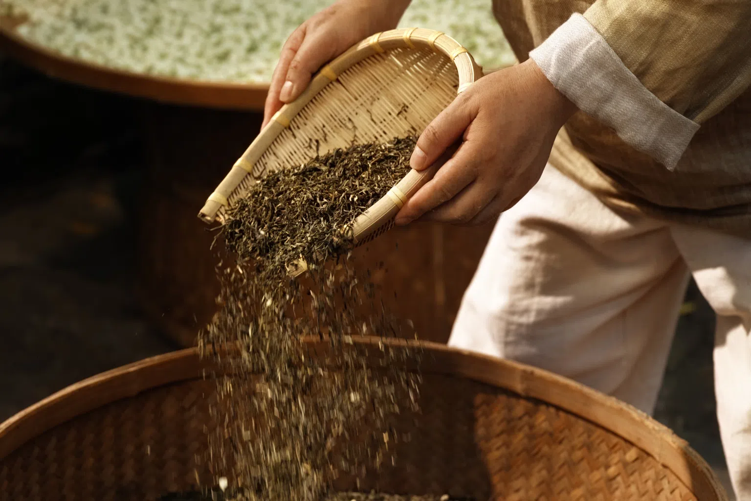 从云南到新加坡，茶姬以好茶连接世界茶友。（图/茶姬提供）