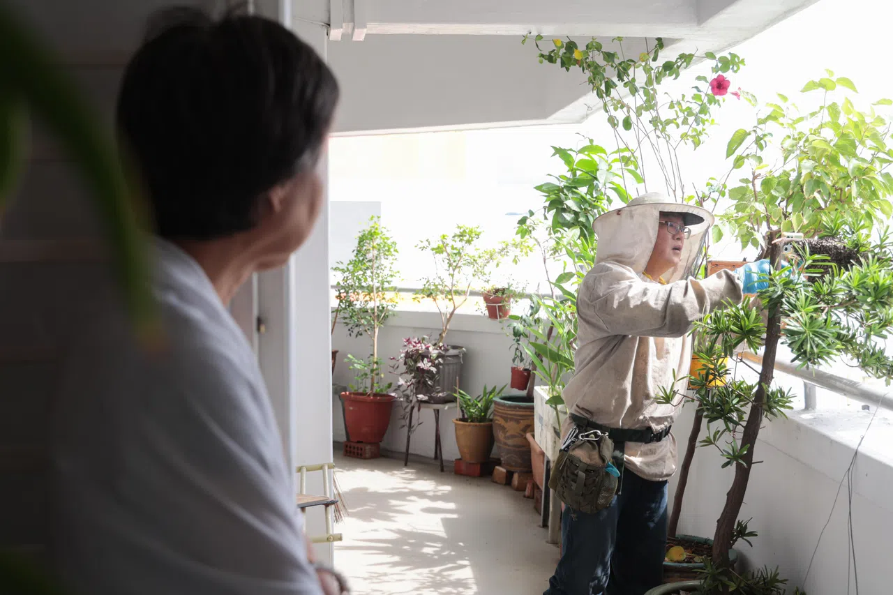 黄银贞（左）全程观看迁移蜂巢的过程，时不时向陈梽勇发问。（李冠卫摄）