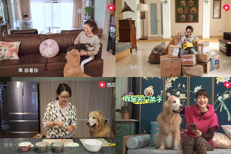 周海媚别墅客厅宽敞，爱犬与她形影不离。（视频截图）