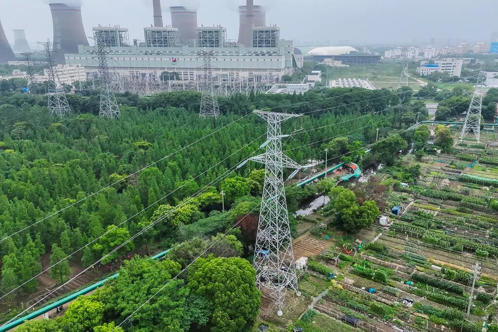 研究：中国改碳排放算法 压缩近五年一半排放增幅
