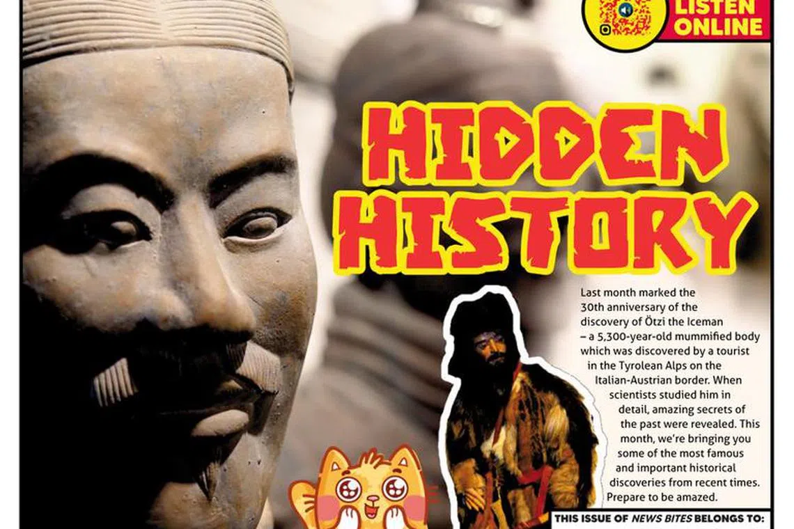 Newbites（JSIM Education）