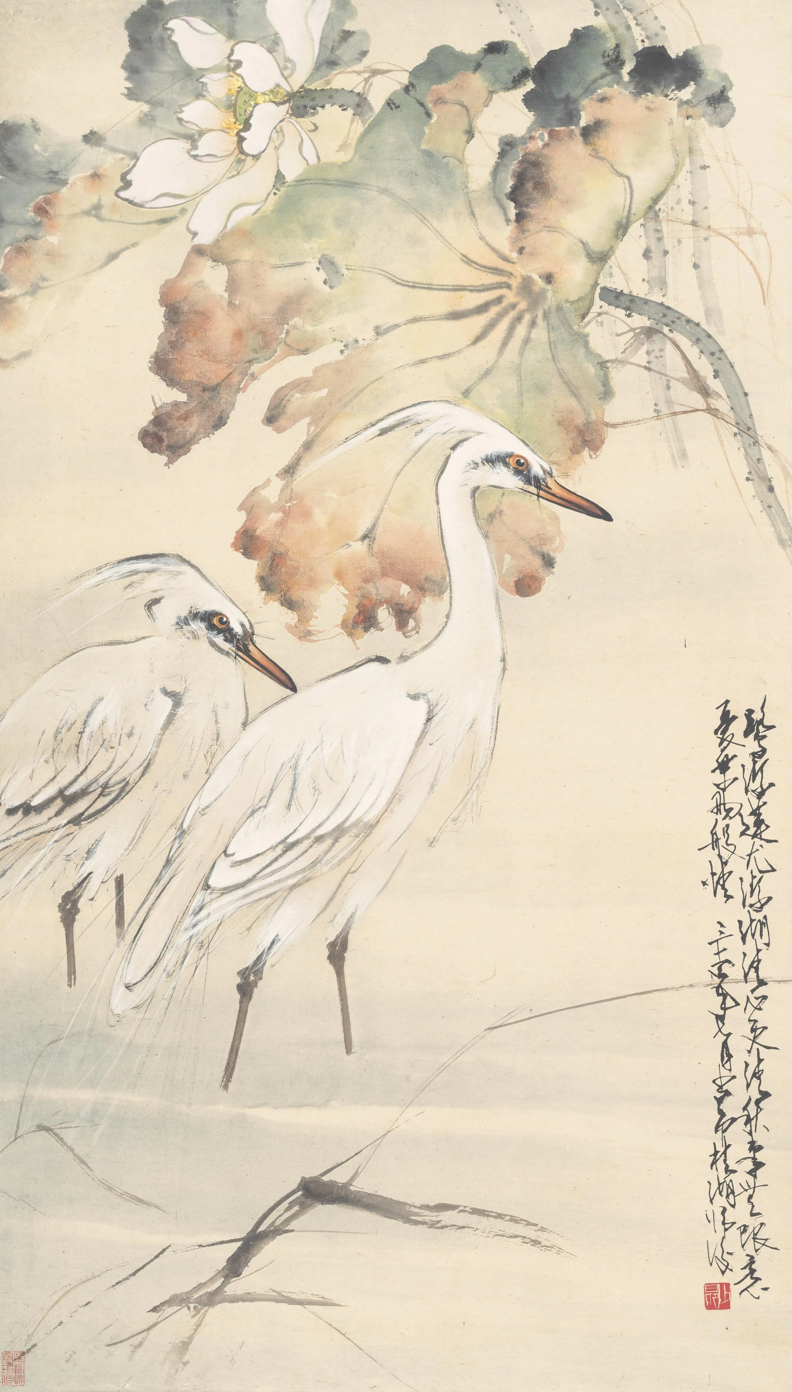 岭南画派赵少昂（1905-1998）对新加坡艺坛影响不小，图为其纸本水墨《荷塘鹭鸶》。（秋斋珍藏）