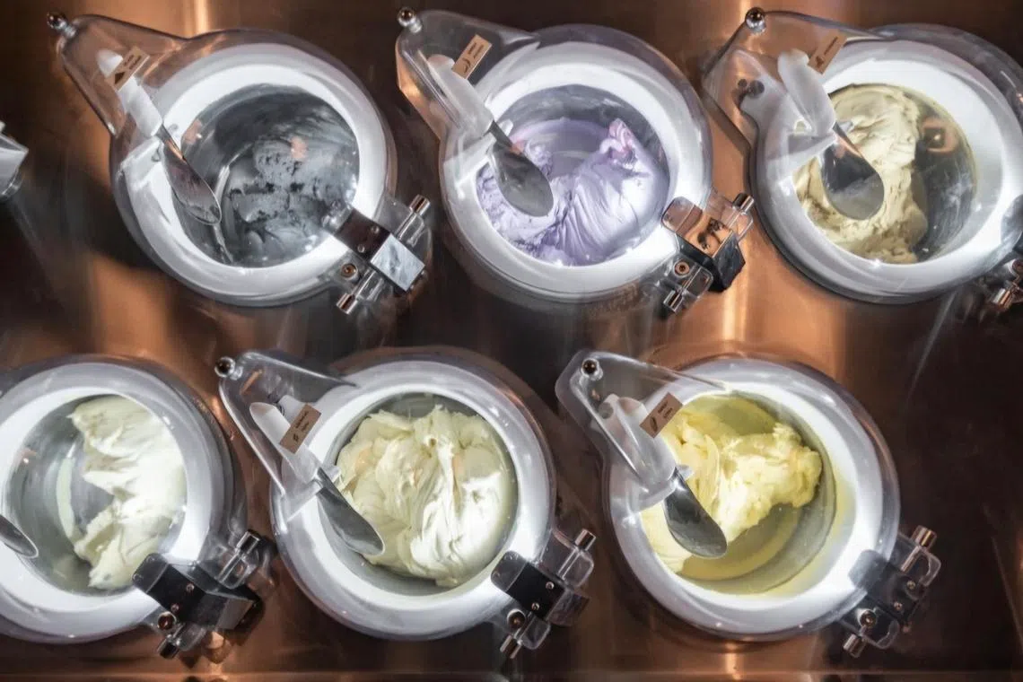 Tofu G共有六种口味，以黄豆、番薯和黑芝麻等制成。（品牌提供）