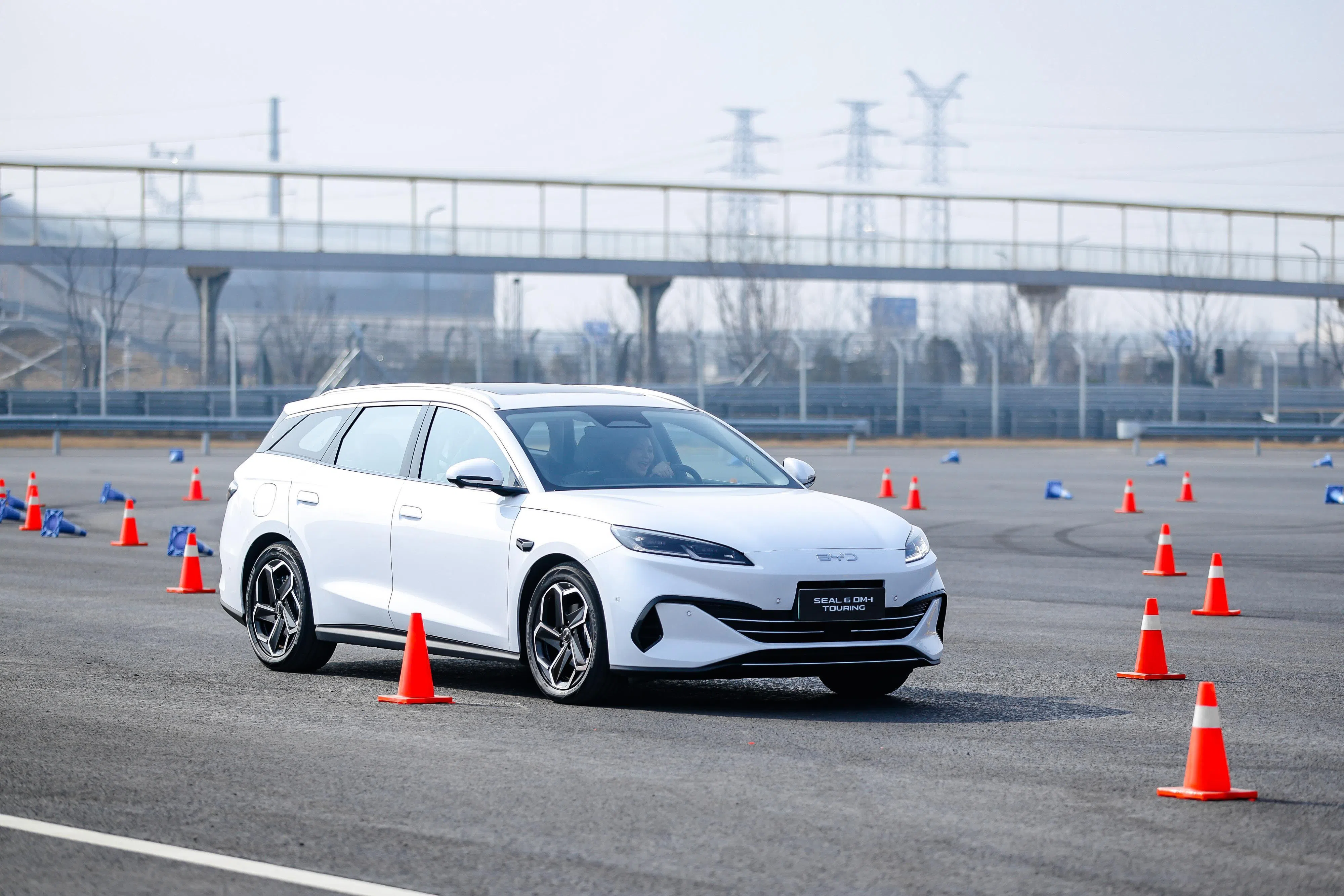 海豹6 DM-i主要面向家庭用户及私召车车主。（车商提供）