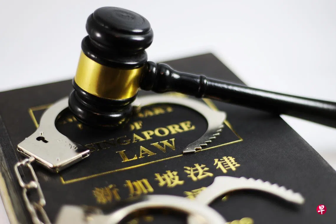 幼儿园厨师非礼女童案两高管知情不报删除犯罪画面被判监| 联合早报