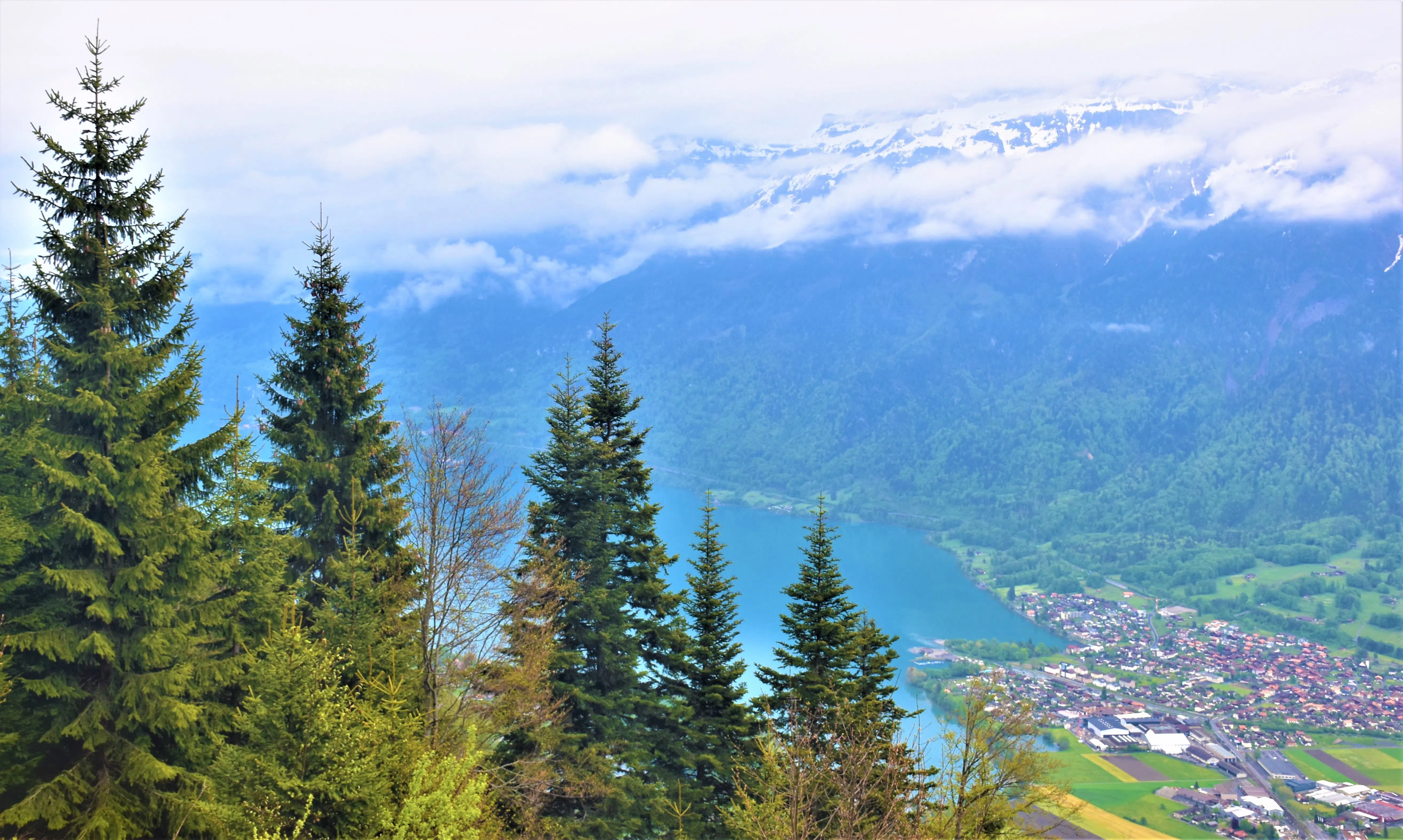 搭登山缆车上哈德昆俯瞰图恩湖。（莞尔摄）