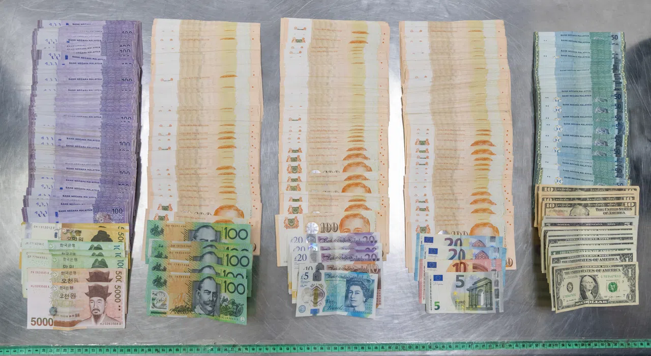 10名旅客当中，有两人被警告，六人被开出销案罚款。针对另两名携带总值超过14万新元各类货币入境的旅客的调查，则还在进行中。（新加坡警察部队提供）