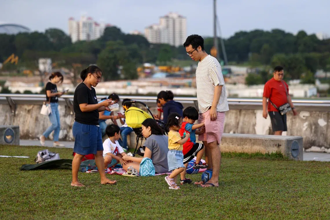 国会观察：他山之石可攻狮城之“玉” | 联合早报