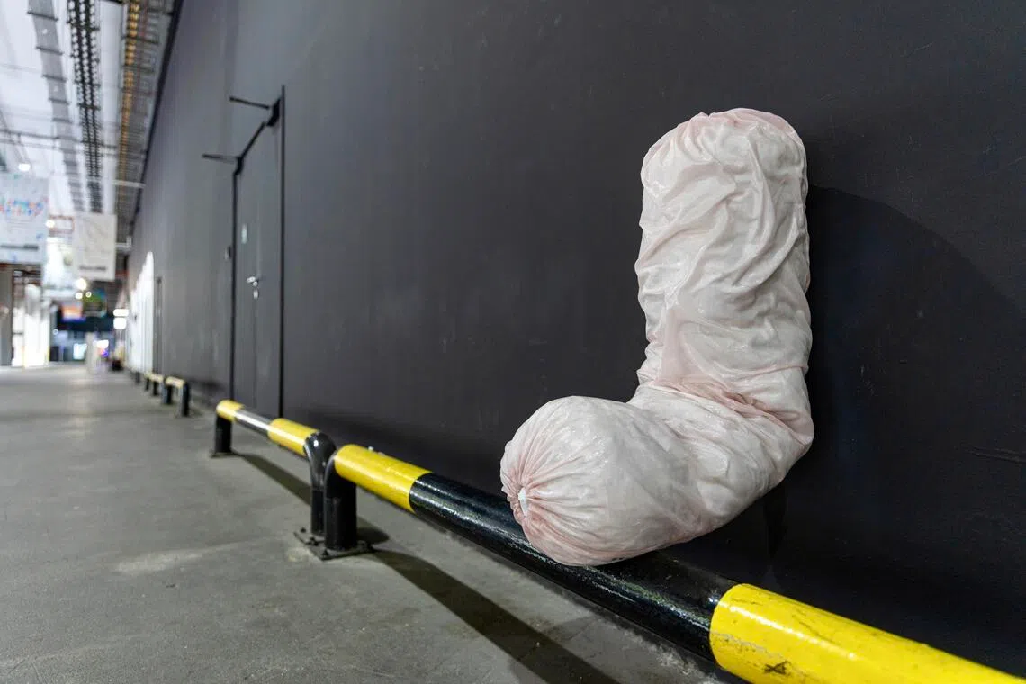 位于丹戎巴葛分销园新加坡美术馆馆外的公共艺术——庄志伟的装置作品。（新加坡美术馆提供）