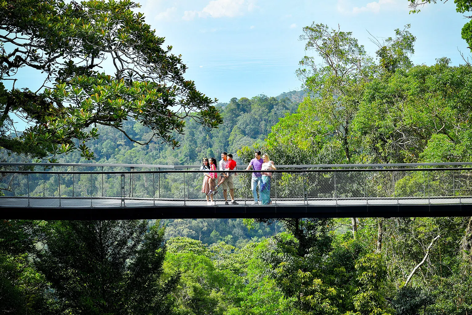 升旗山生态园的雨林吊桥。（图/飞萤航空提供）