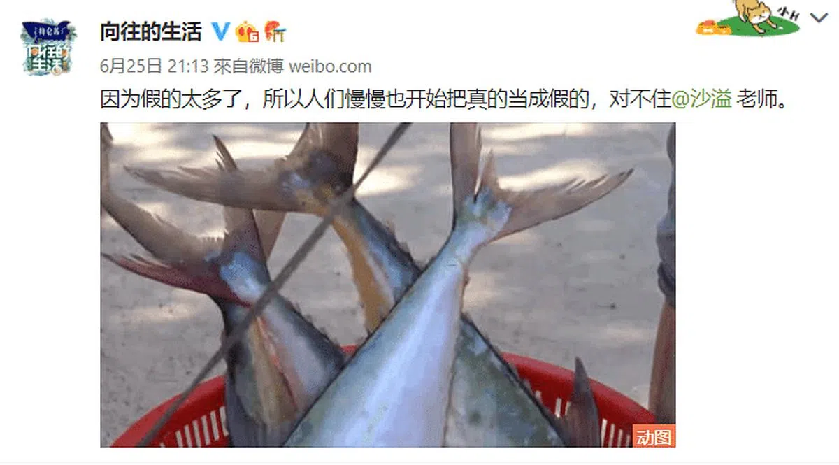 节目组发微博回应“道具鱼”传言。（图/截自微博）