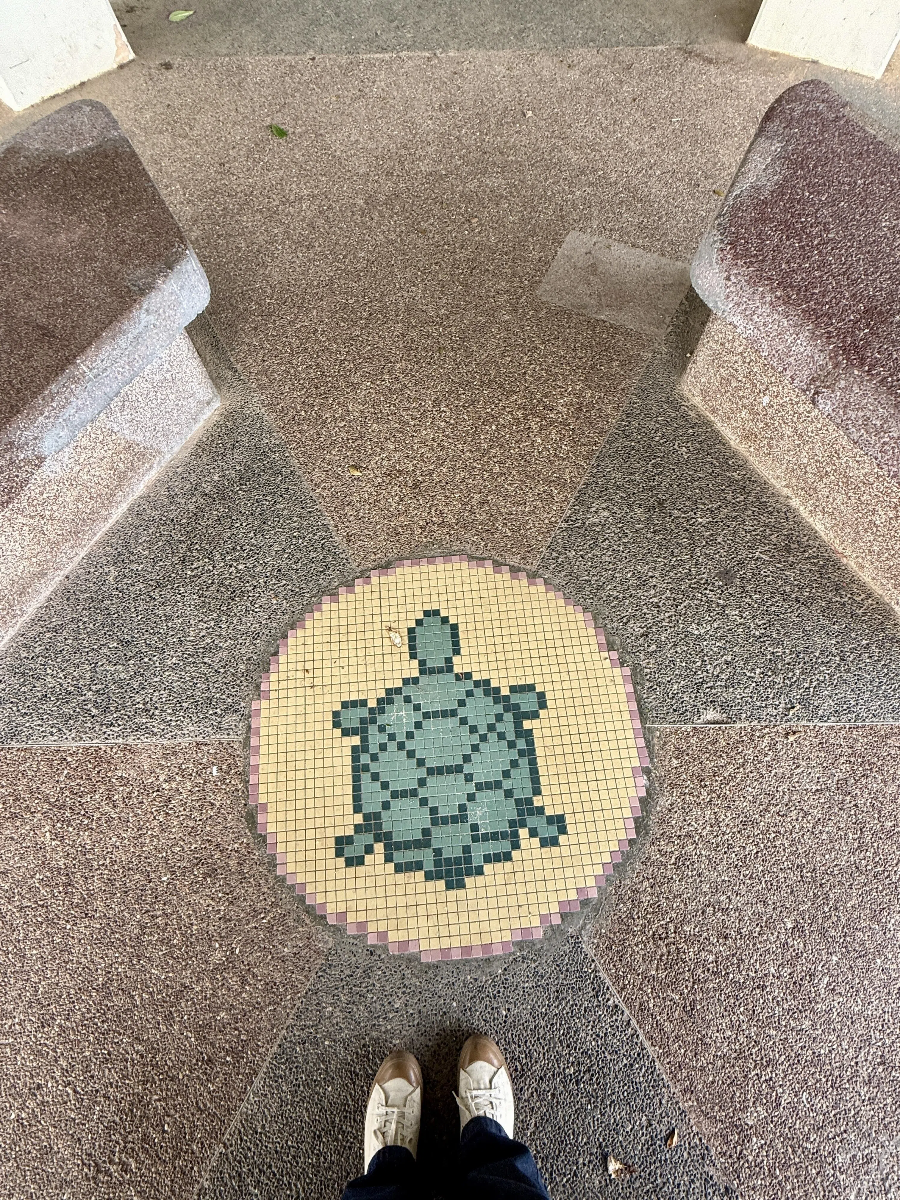 雨天躲进拉柏多公园的小亭子，和小乌龟一起避雨。（陈映蓁摄）