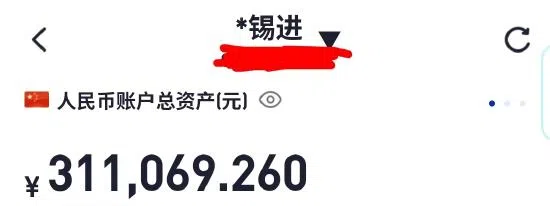 胡锡进23日在微博发文称，自己炒股的亏损已达到9050元，并配图他现有31万多元的炒股账号截图。不过，目前这条微博已不可见。（互联网）