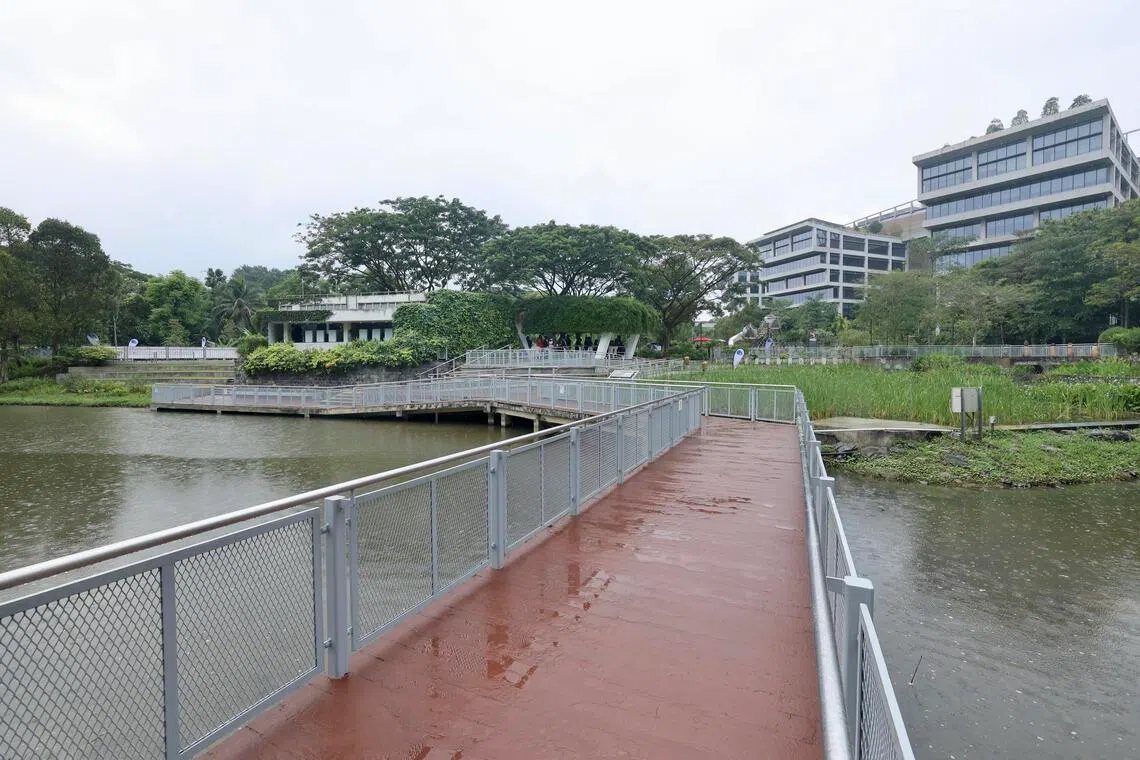 陶匠园位于洁净科技园旁，为科技园员工提供绿意盎然的工作环境。（邝启聪摄）