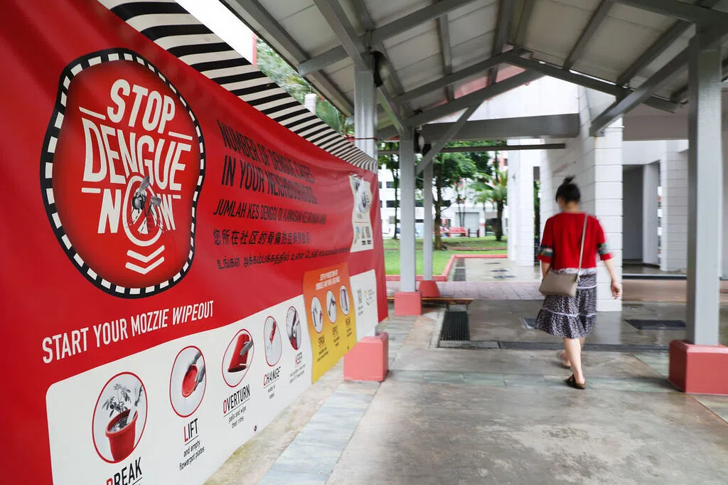 本地骨痛热症病例全年约4000起 降至2018年来最低  　