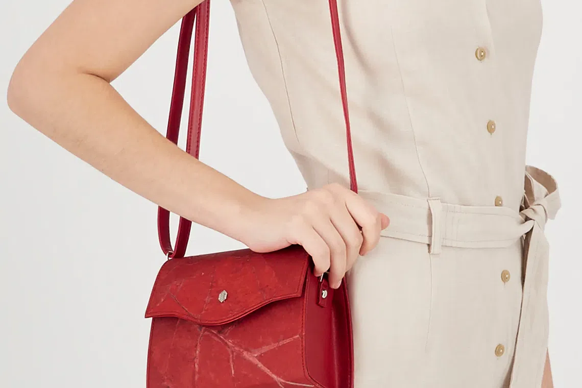 枯叶也能有重生机会！（商家提供）