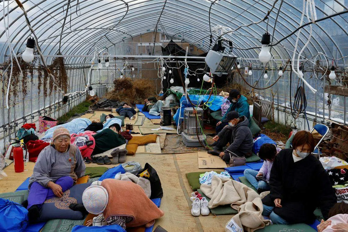 在重灾区石川县轮岛市，很多居民都失去了房子，一些人被安置到温室大棚里避难。（路透社）